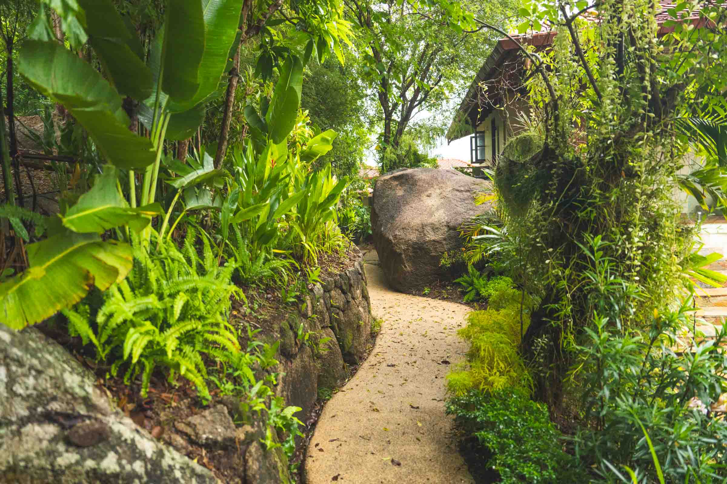 Garden nature